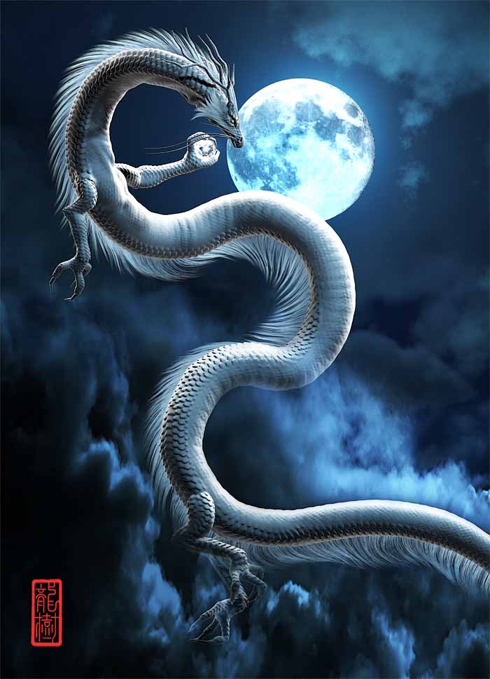 龍の絵「月と白龍」